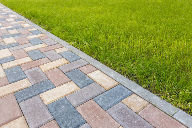 Best Residential Driveway Pavers in Carrollwood, FL